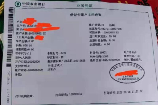 北京亮资摆账公司（企业过桥垫资）真实资方