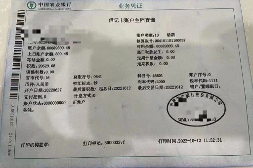 北京亮资摆账公司（工程摆账亮资）报价低