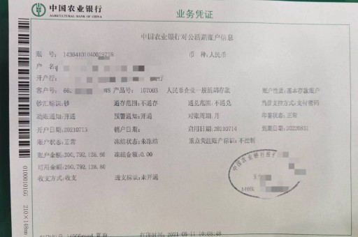 北京亮资摆账公司（工程亮资摆账）飞速上门