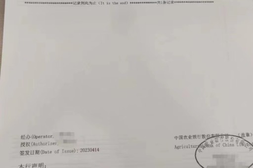 北京亮资摆账服务到位（新能源公司验资报告）